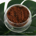 Ganoderma Lucidum Extract/Lingzhi /Reishi Extract